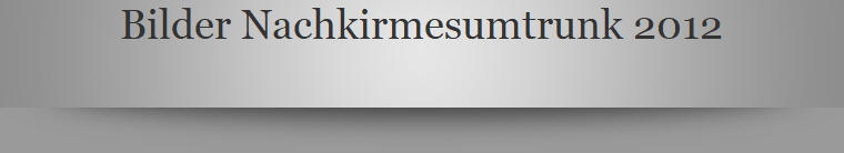 Bilder Nachkirmesumtrunk 2012