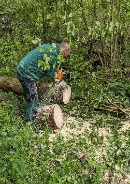 PXL_20240427_090430862