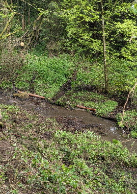 PXL_20240427_090608293