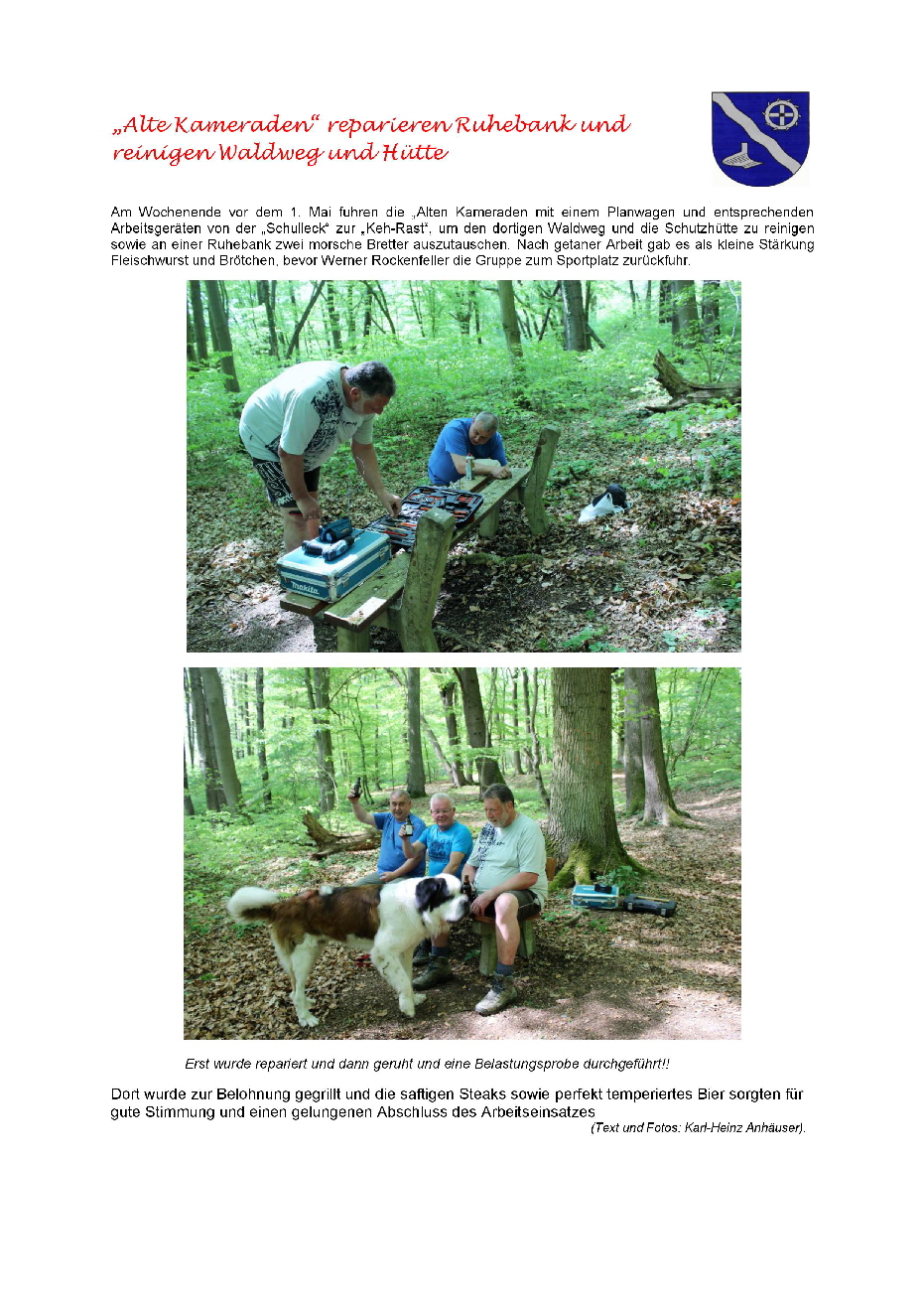 Waldwegereinigen 2018